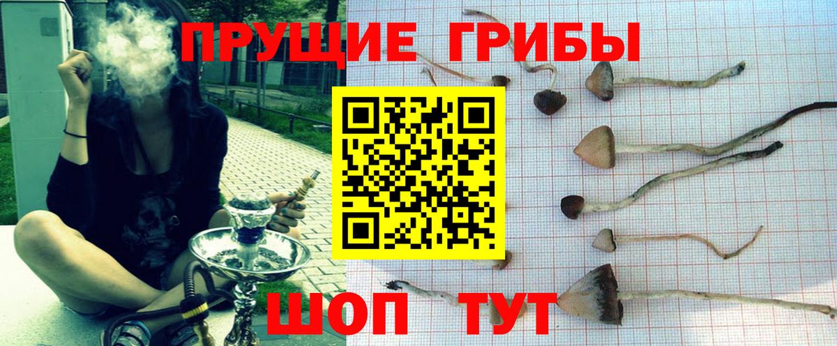 Псилоцибиновые грибы MAGIC MUSHROOMS  Галлюциногенные грибы ЛСД  даркнет сайт  Красногорск  Вход с VPN 